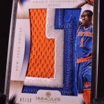 2012-13 IMMACULATE AMARE STOUDEMIRE NUMBERS PATCH #5/10